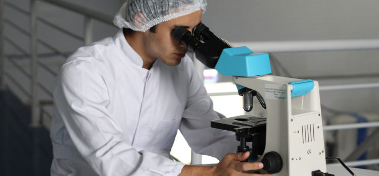 Forskare tittar i mikroskop, studerar ny immunterapi för behandling av cancer.