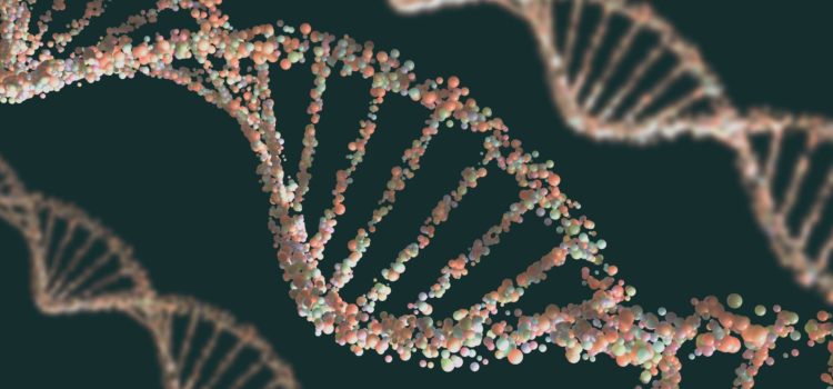 3D-bild av DNA
